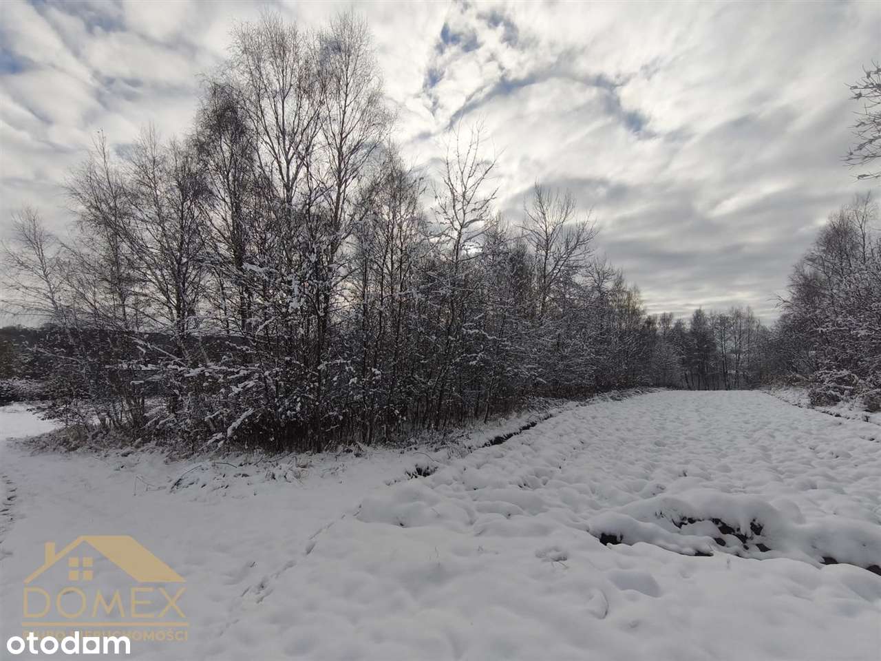 Duża działka w Radlinie – 3467m² - TOP-3