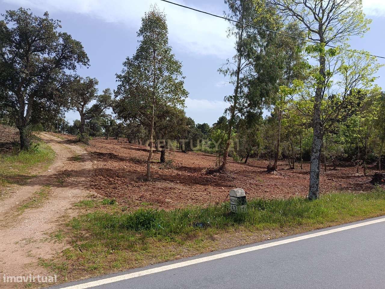 Terreno Rústico com 1.6ha Monfortinho-11