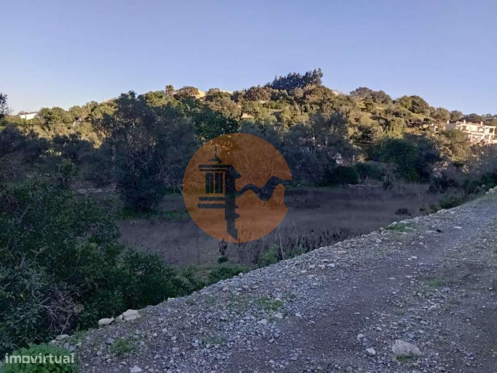 Terreno Rústico com bons acessos - Grande imagem: 4/5