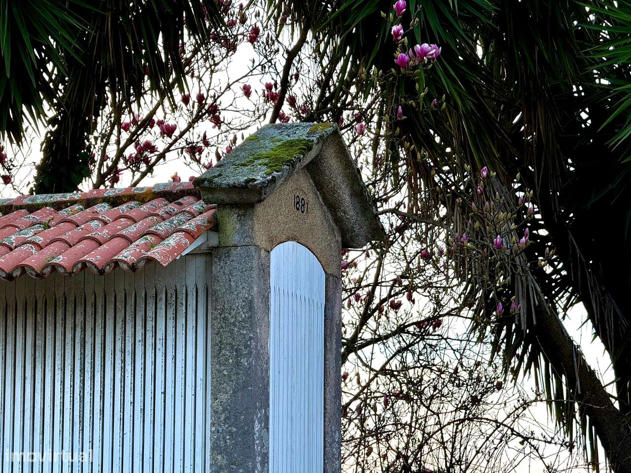 Quinta T5+1 Venda em Cardielos e Serreleis,Viana do Castelo-3