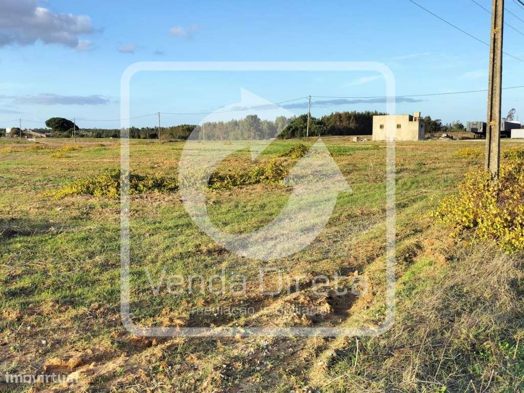Terreno com 110.000 m2 junto à Nacional 10 - Com Armazém, Furo Lice...-6