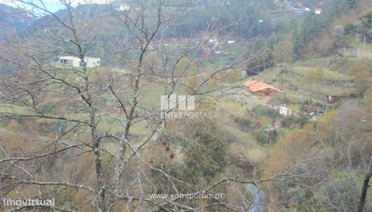 Venda Terreno, Ferreiros de Tendais, Cinfães - Grande imagem: 4/16