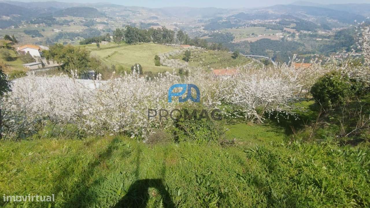 Quinta do Valado- Excelente Investimento em Resende-56