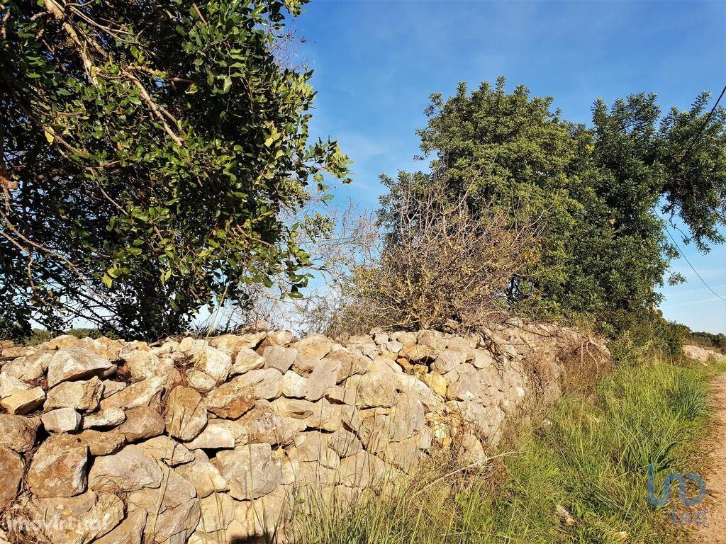 Terreno Agrícola em Faro de 12800,00 m2