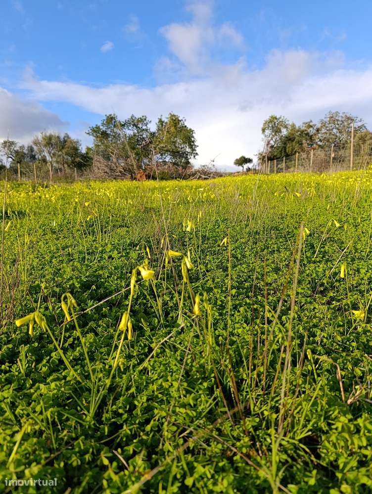 Vende-se terreno possibilidade de loteamento - Grande imagem: 3/7