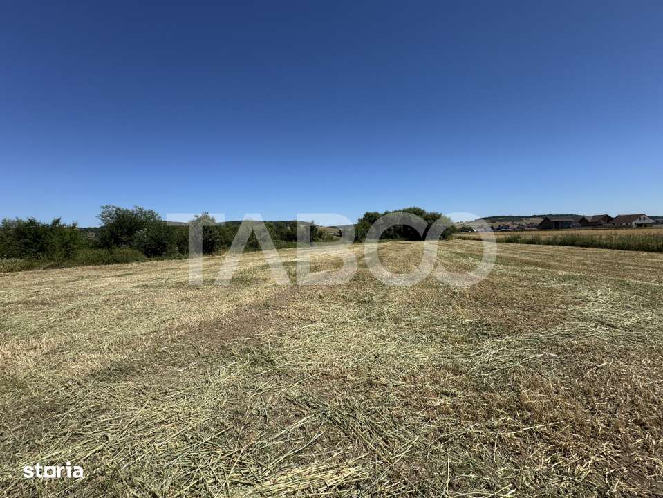 Teren intravilan 3752 mp parcelabil zona fostelor sere Cristian Sibiu - Imagine principală: 5/6