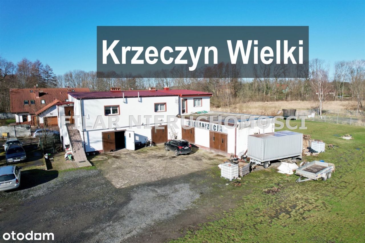 Warsztat w Krzeczynie Wielkim