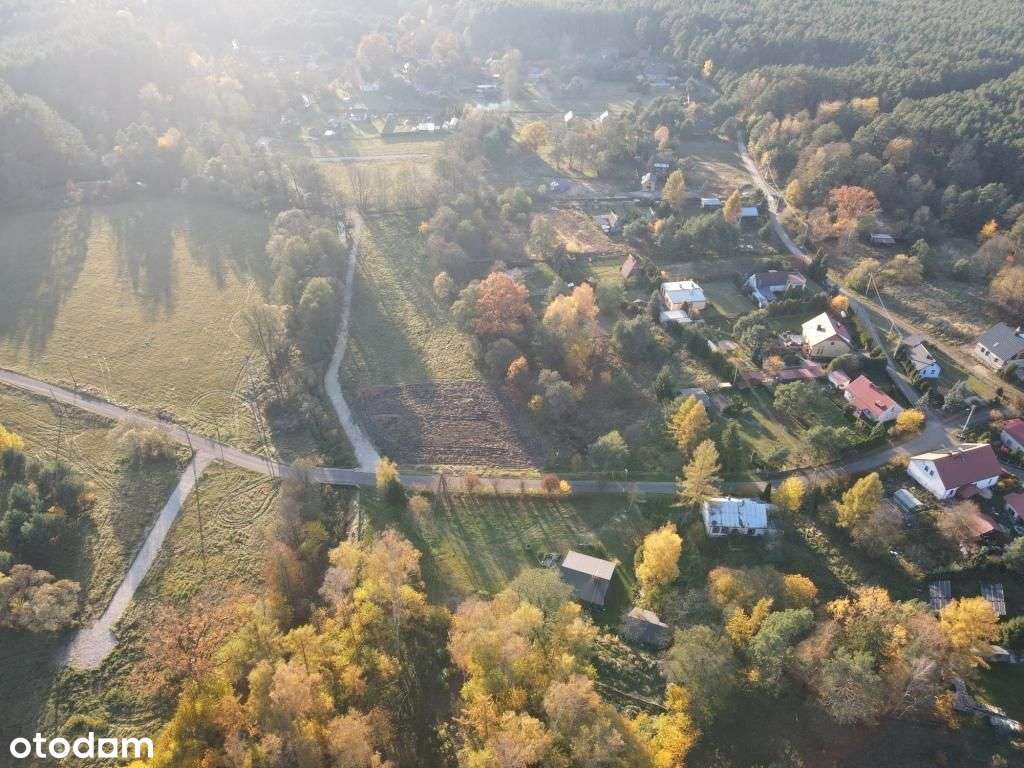 OKAZJA Osada Zylka dzialki Mala Panew Bezposrednio - Pełny obrazek: 5/13