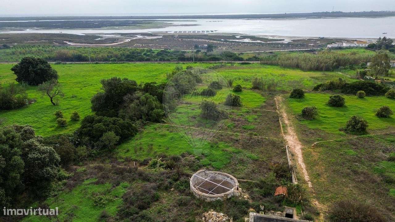 Quinta T3 para venda - Grande imagem: 3/10