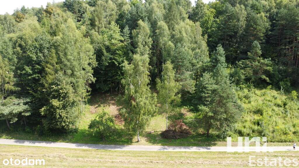 20 arowa działka| Piękna okolica| Cisza - Pełny obrazek: 4/10