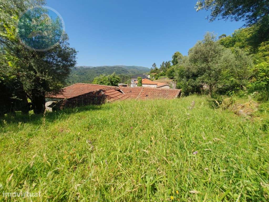 Quinta à venda para restauro em Arroteia freguesia de Rossas-37