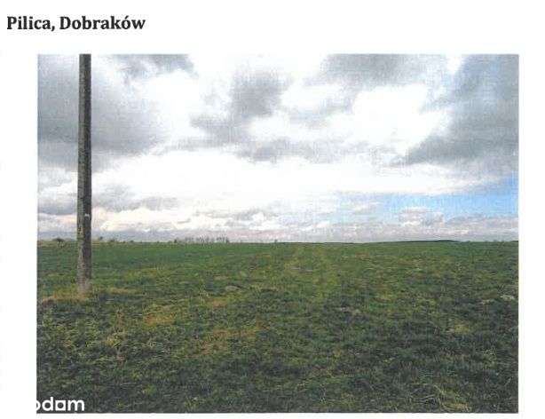 DZIAŁKA z utwardzonym dojazdem, potencjał zabudowy - Pełny obrazek: 4/8