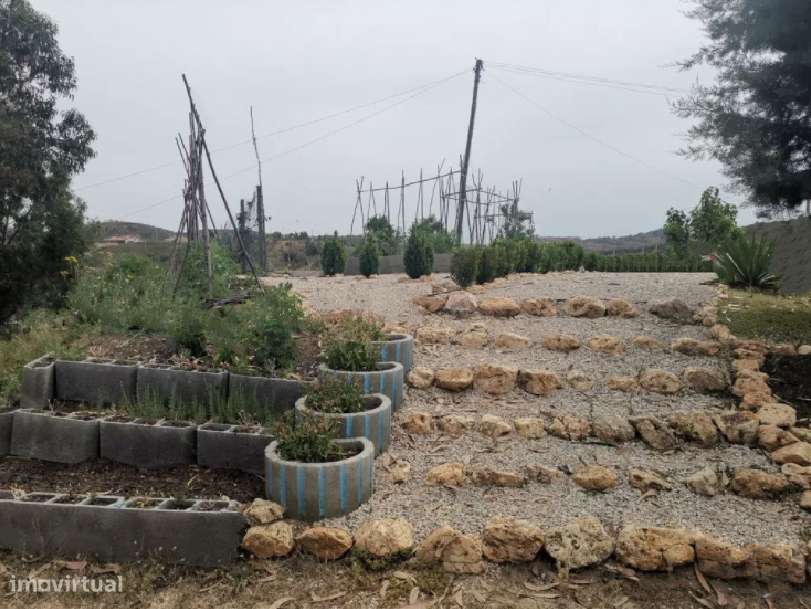 Moradia T2 antiga por remodelar em Marianos - Grande imagem: 5/5