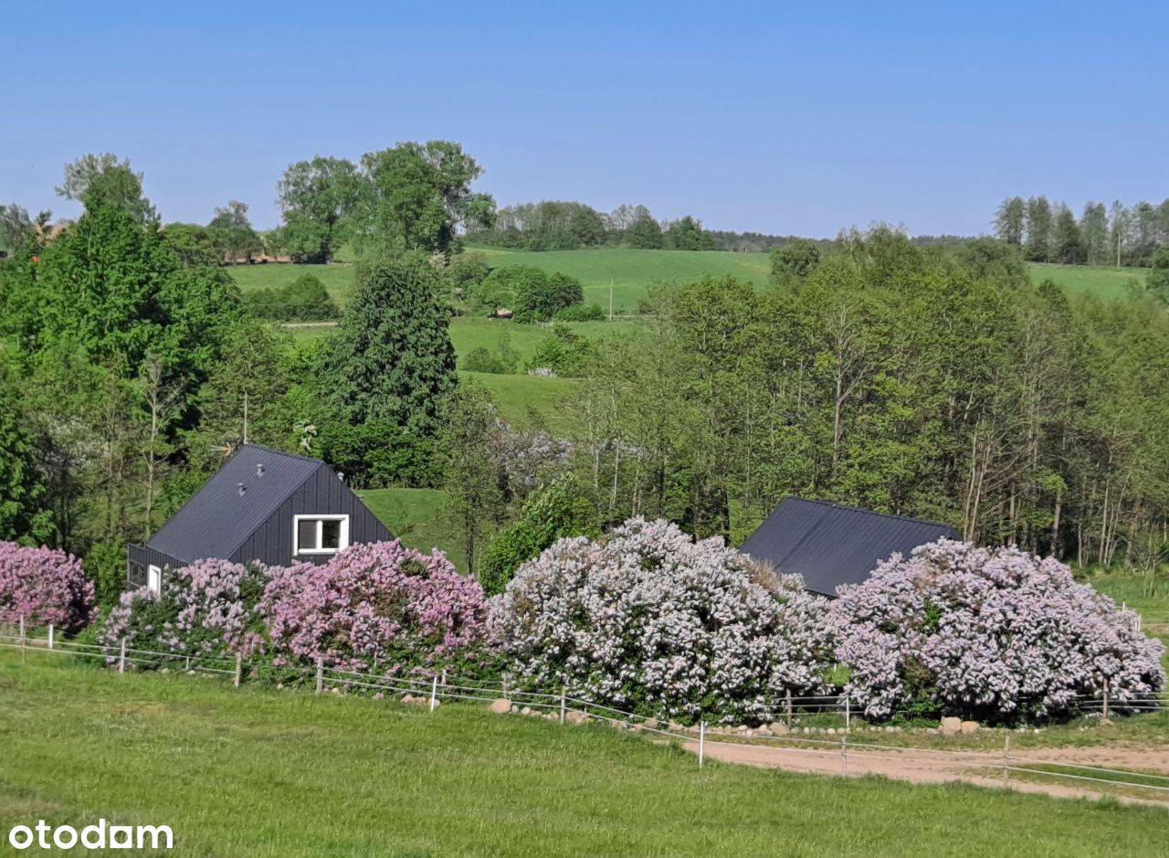 Sprzedam siedlisko nad rzeczką