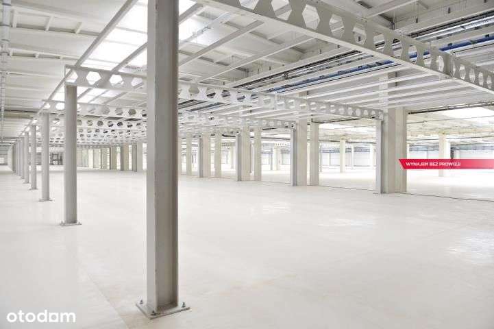 Tani magazyn na wynajem w Sosnowcu przy S1 - Pełny obrazek: 3/3