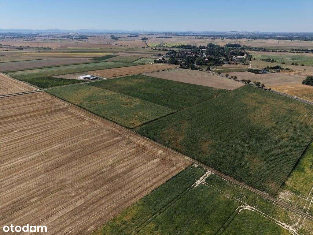 Działka rolna 3,16ha w Rogowie Sobóckim - trójkąt-4