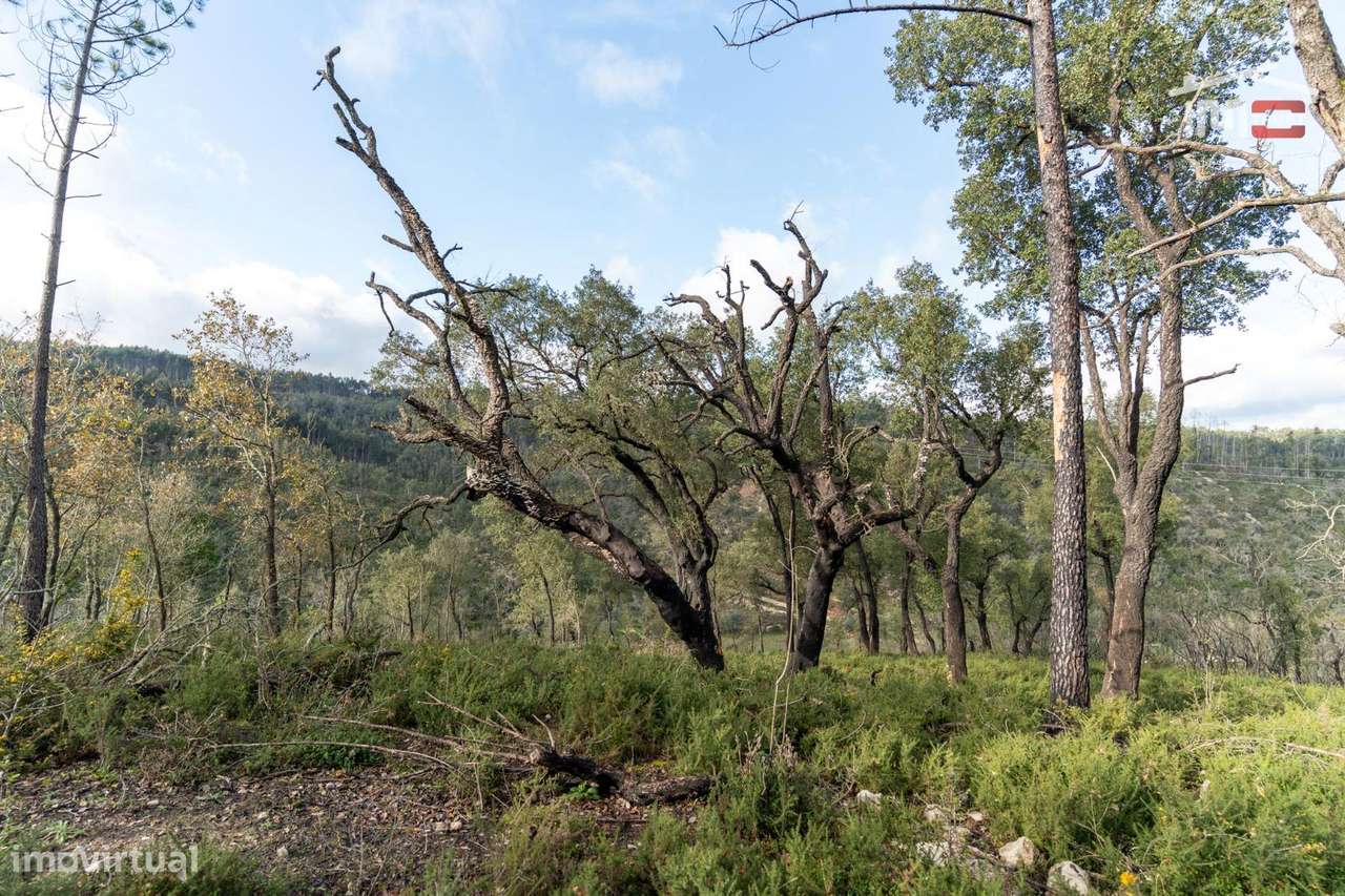 Terreno Rústico, Chainça - Grande imagem: 3/9