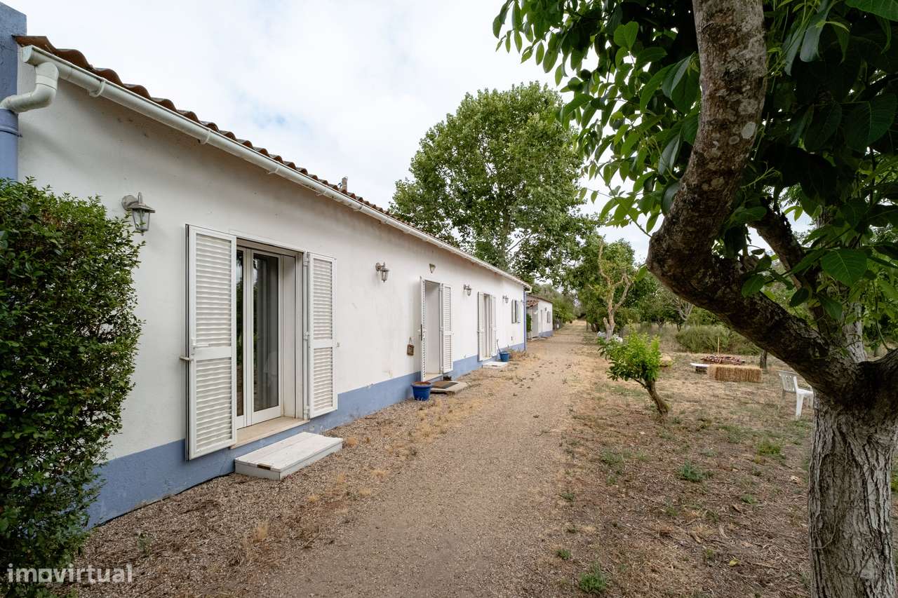 QUINTA | PARA VENDA | ALENTEJO - Grande imagem: 5/59