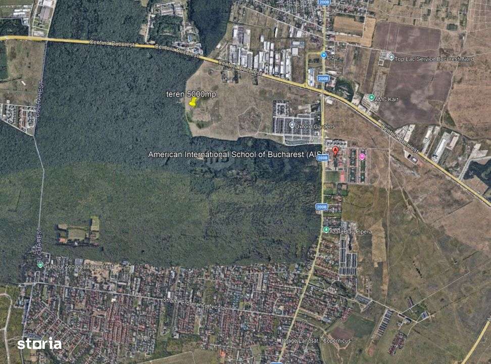 5.000 mp pentru dezvoltare vile premium Pipera Padura Baneasa - Imagine principală: 1/4