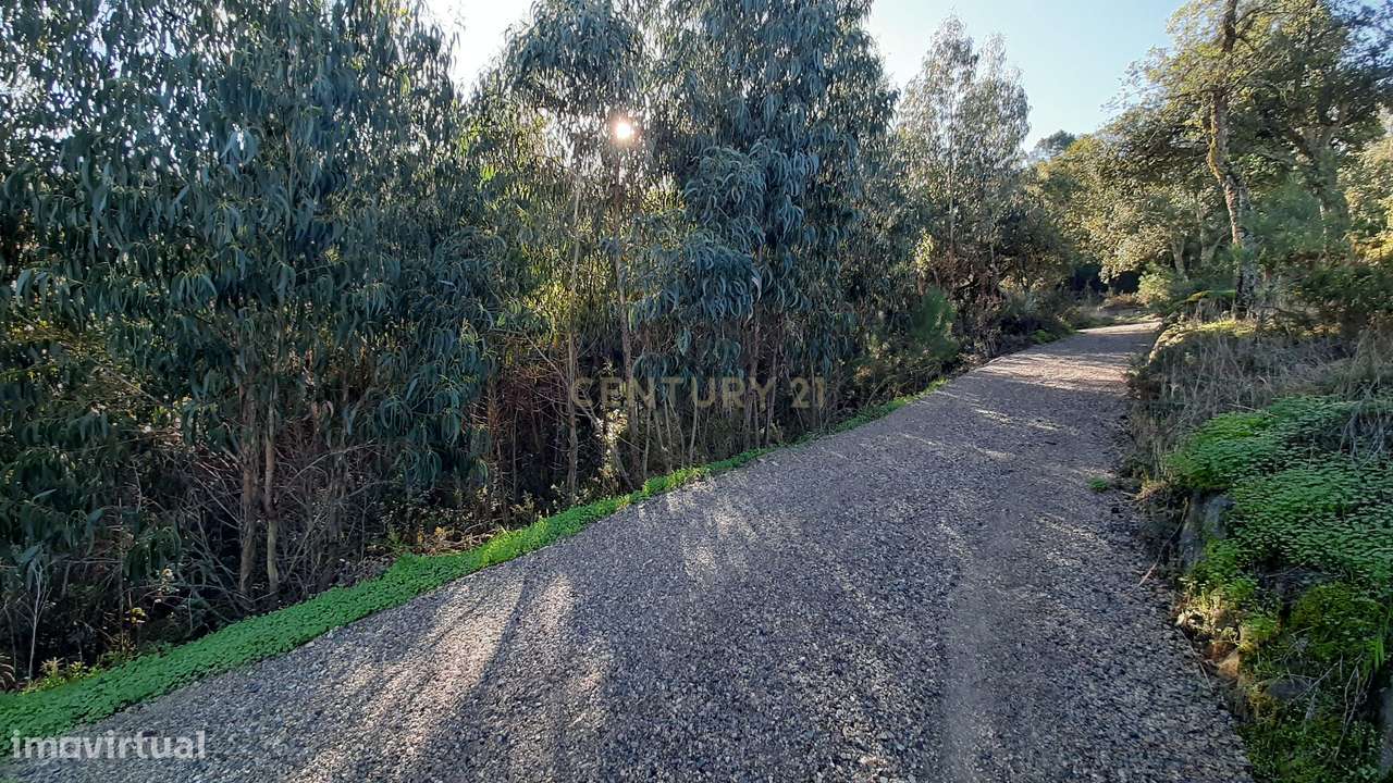 Terreno com projeto aprovado de Moradia Isolada T3 - Picão - Grande imagem: 5/13