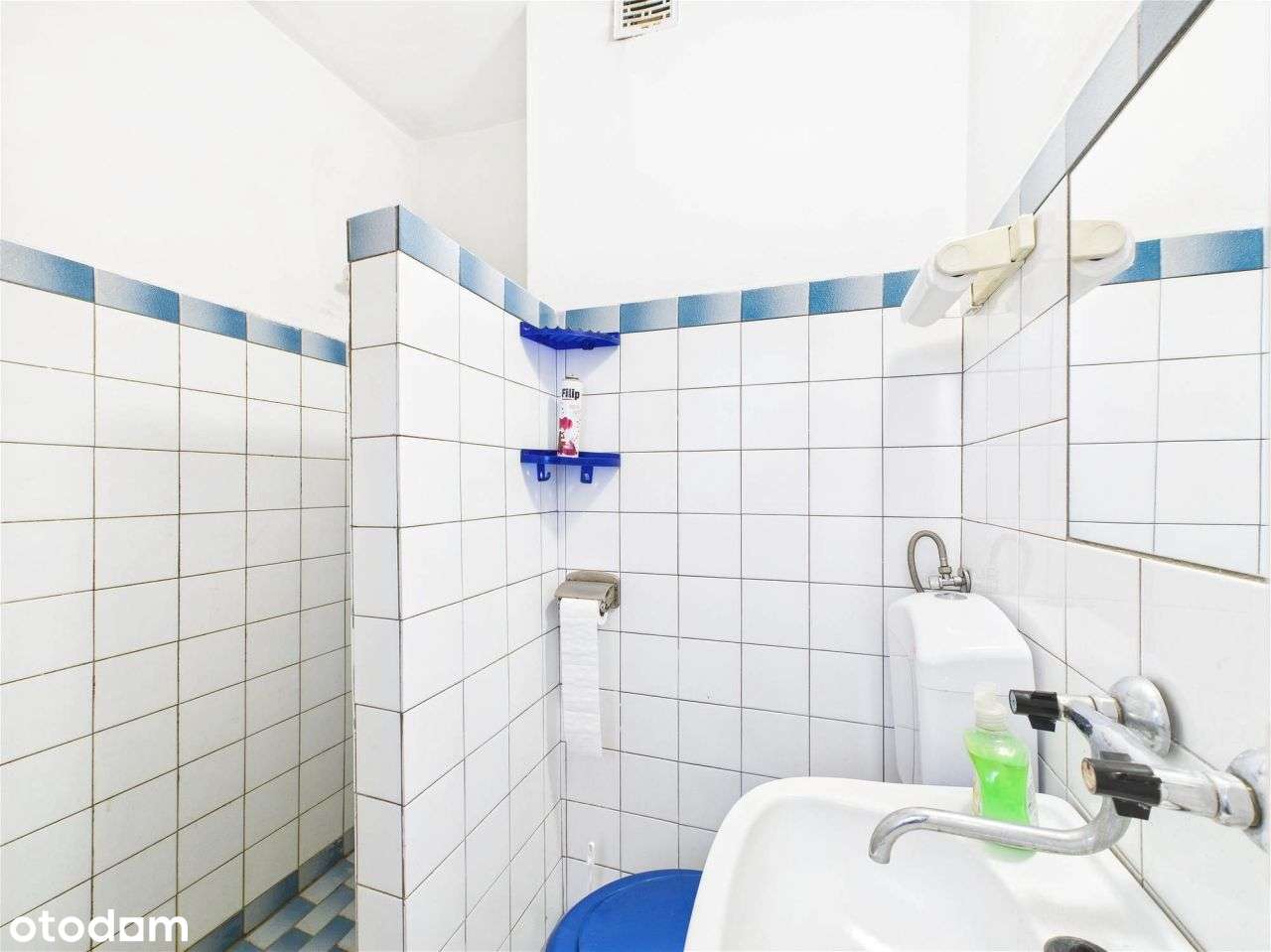 Hotelik/ dom na sprzedaż. ul. Nowowiejskiego - Pełny obrazek: 4/15