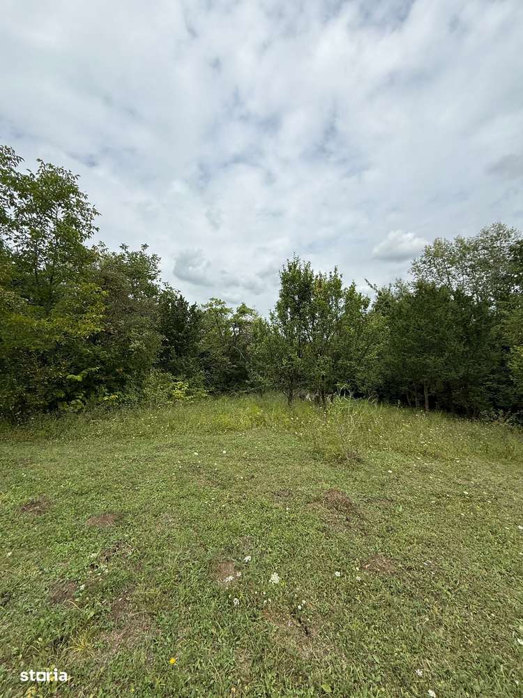 Poiana Câmpina - teren intravilan 3429mp - 50000 Euro - Imagine principală: 3/5