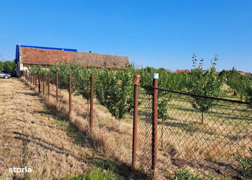 Teren cu livada si Casa veche in Șandra - Imagine principală: 3/4