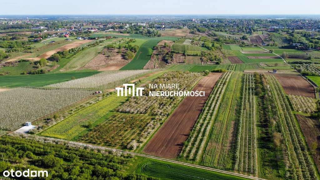 Duża działka  w Sandomierzu | 1 ha - Pełny obrazek: 4/9