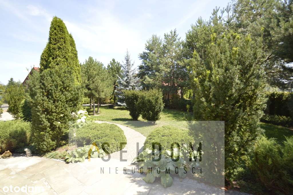 Dom pod Legnicą nowa cena - Pełny obrazek: 5/12