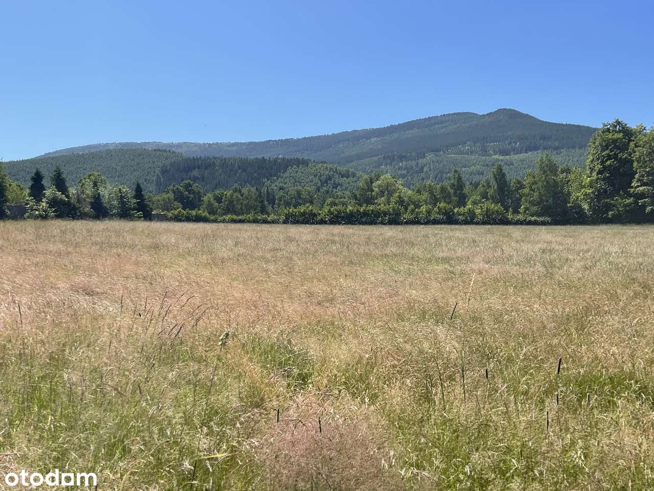 Widokowa i słoneczna działka 1338 m2. Okolica Osiedla Skalnego!-2