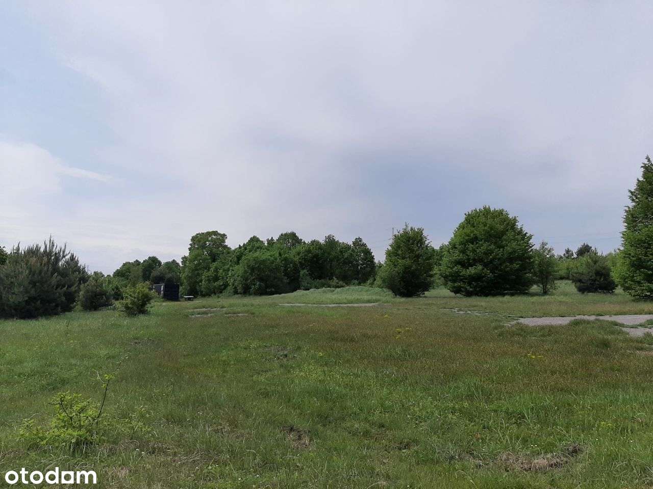 Nieruchomość w Częstochowie / 7,5006 ha - Pełny obrazek: 5/5