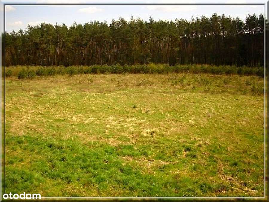 Posiadłość na DOM SENIORA, Weselny DZIAŁKA 1 HA-10