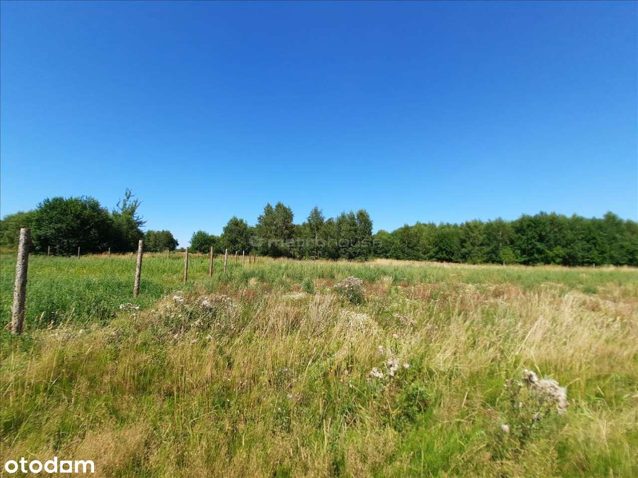 Działka 11 a, blisko jeziora Jamno. - Pełny obrazek: 4/11