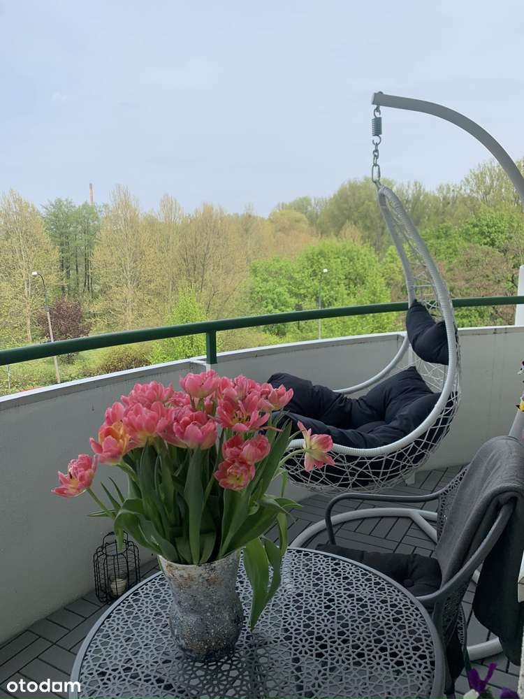 Komfortowe dwupokojowe mieszkanie na Żoliborzu!-14