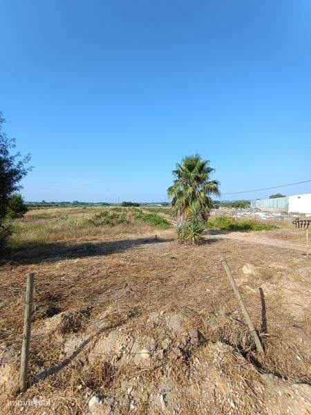 Terreno Urbano com área de cultivo - Grande imagem: 5/7