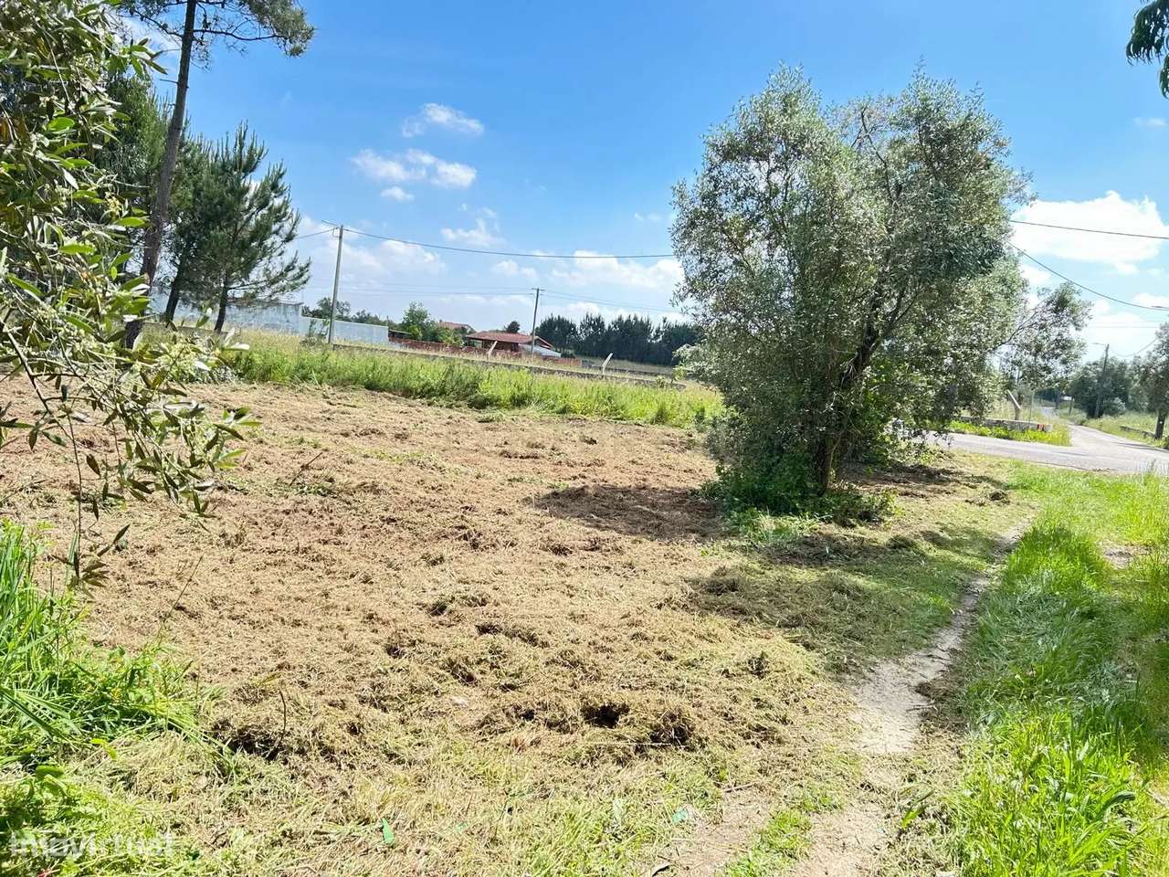 Terreno Urbano em Ouca, Vagos - Vista Cidade e Campo - Grande imagem: 5/10