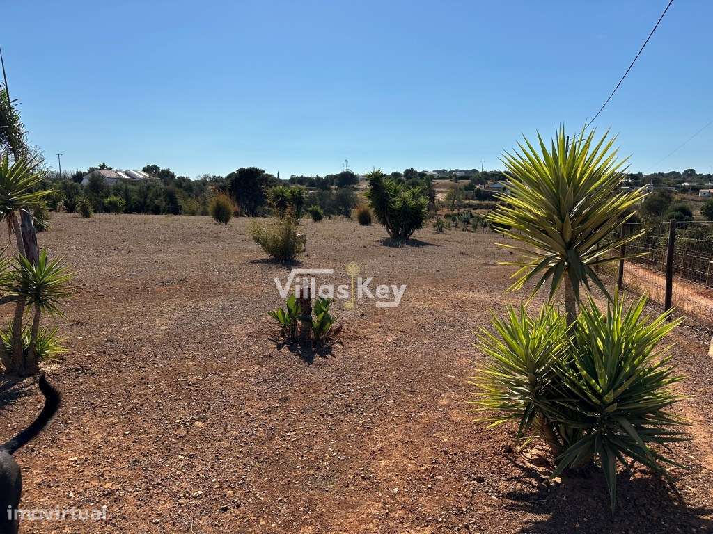 Terreno com viabilidade para construir segundo o PDM, até 700 m2 Od... - Grande imagem: 5/15