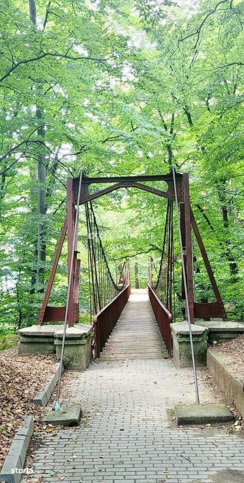 0% Vanzare teren si constructie Locatie de exceptie Calimanesti Calea-6