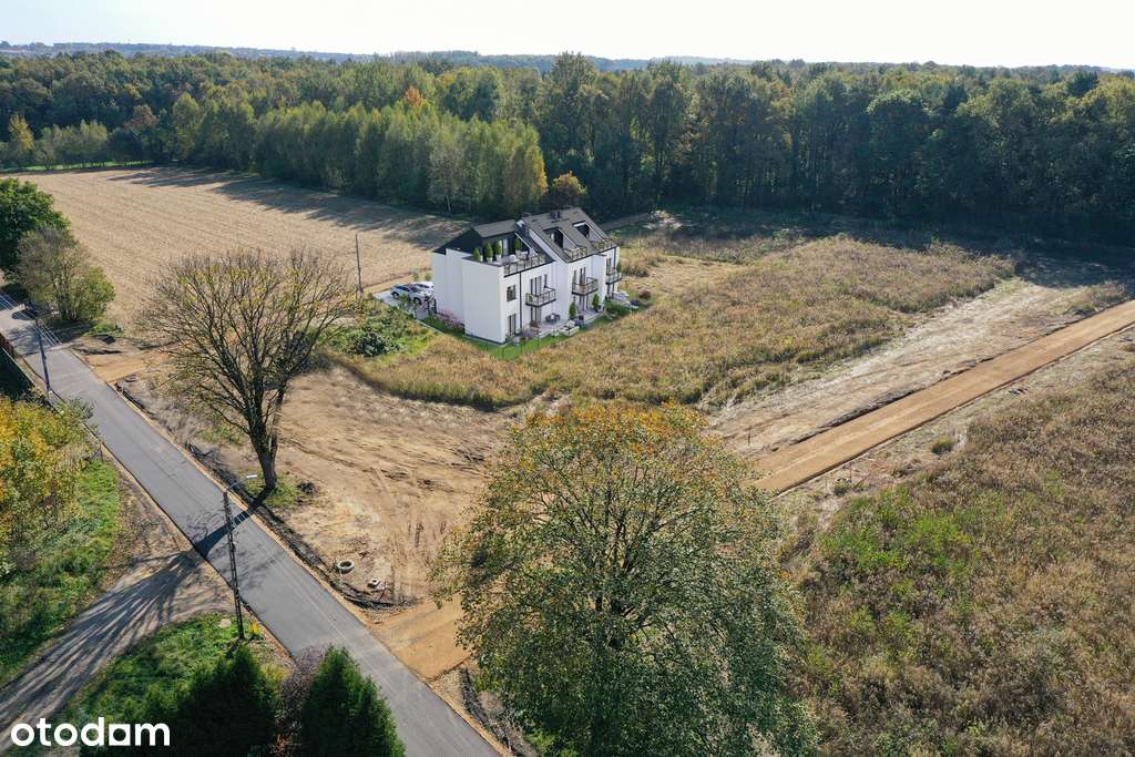 Apartamenty Liściasta – Komfort w Otoczeniu Natury - Pełny obrazek: 5/9