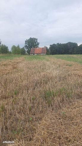 Działka z zabudową w okolicy Kętrzyna-2