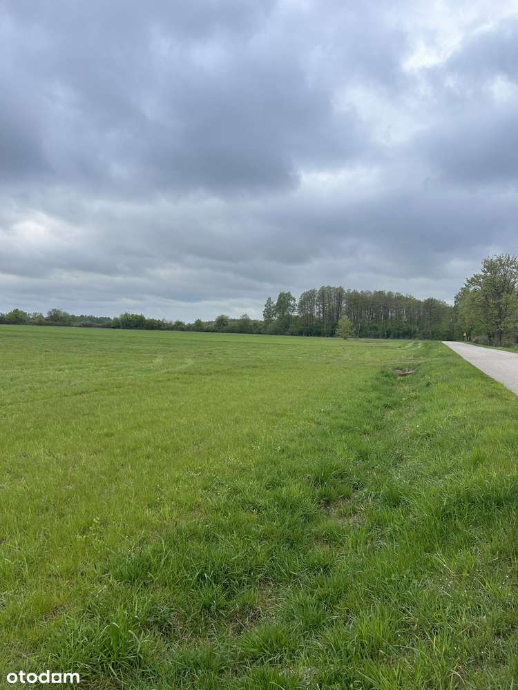 Piękne działki budowlane w Dzbanicach  Gmina Pokrzywnica Narew blisko-5