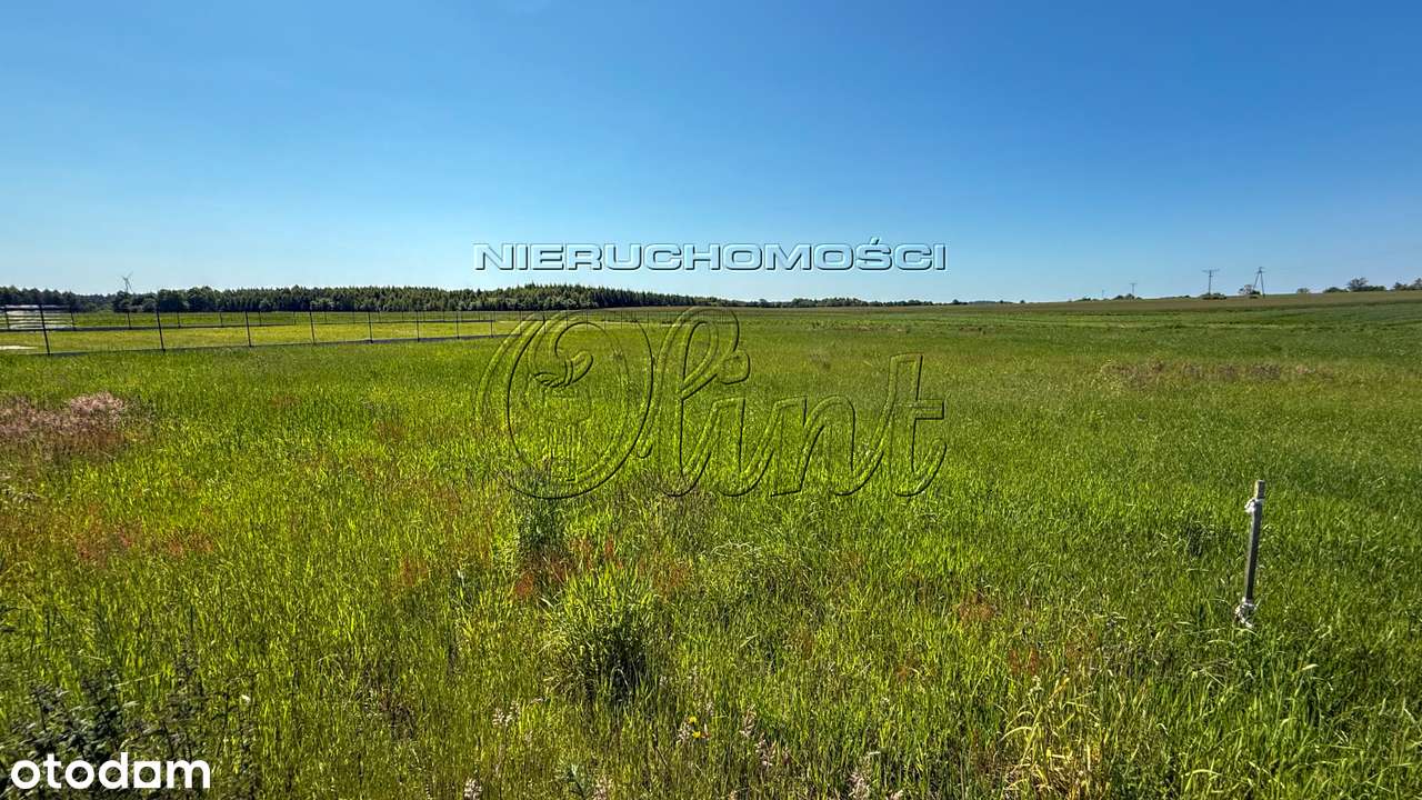 Sprzedam 3 działki w Tawęcinie - Pełny obrazek: 5/10