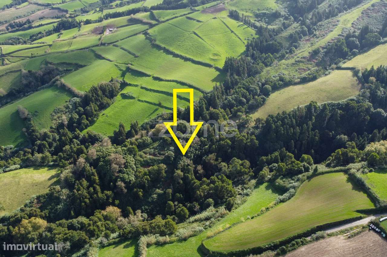 Terreno composto por mata com 13420m2 - Grande imagem: 2/5