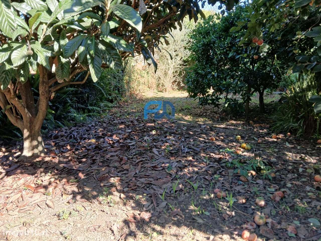 Moradia com jardim-11