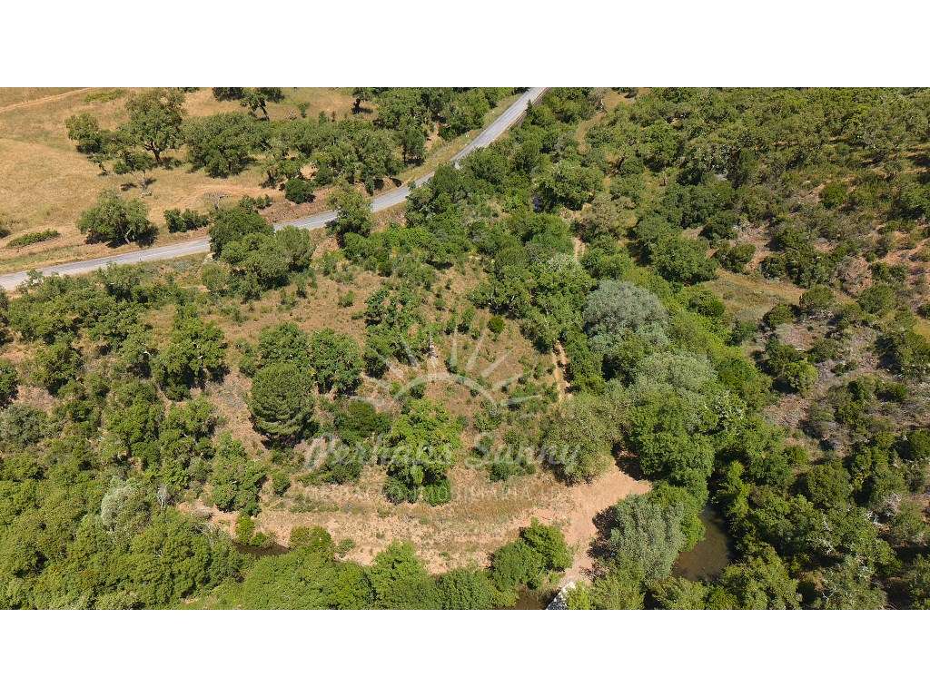 Propriedade Rústica de Montado com Ribeira | 22,6 Hectares | Serra ...-15