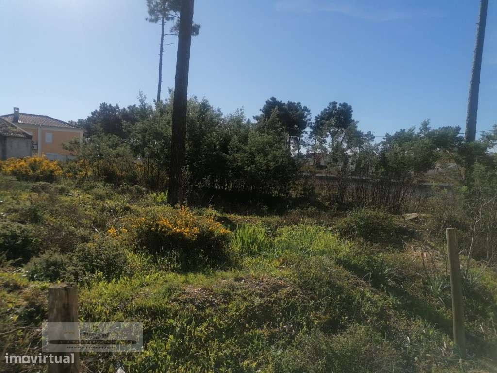 Terreno urbano com 3977 m2 na Aroeira, Charneca de Caparica.-8