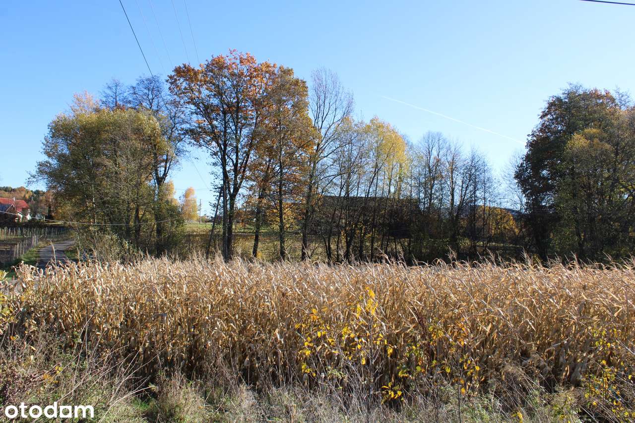 Kierlikówka - działka budowlano-rolna w spokojnej okolicy.-1