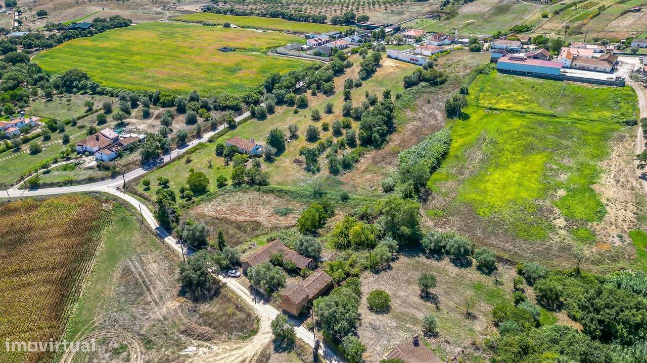 Quinta para remodelar - Torres Novas-27
