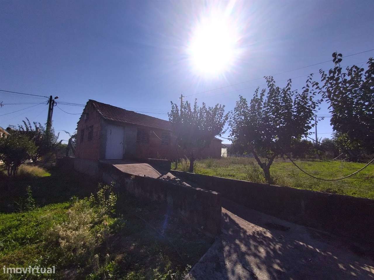 Terreno para construir / Almagreira / Pombal - Grande imagem: 5/11