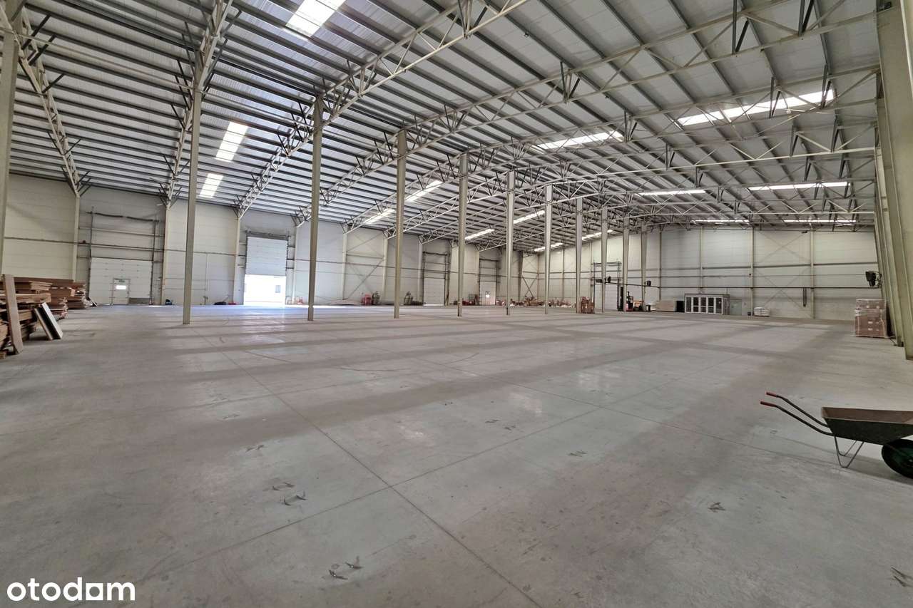 TURBO Hala Magazynowa 3 412 m² plus reszta. RAZEM: 5 128 m² - Pełny obrazek: 4/20